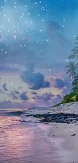 Tropical sunset beach with starry sky and palm trees.