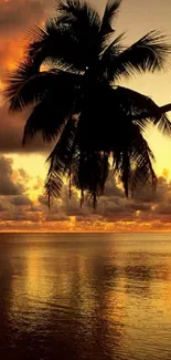 Tropical beach sunset with palm tree silhouette over water.