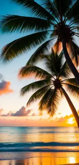 Tropical beach sunset with silhouetted palm trees over serene ocean waves.