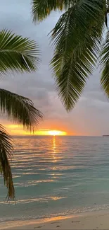 Tropical sunset with palm trees over a tranquil ocean.