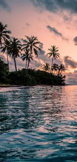 Tropical beach with palm trees silhouetted against a coral sunset sky and ocean waves.