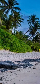 Tropical sunset beach with vivid sky and calm ocean waves.