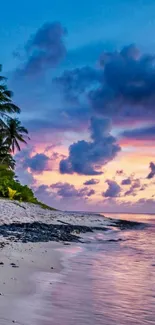 Tropical beach at sunset with palm trees and vibrant colors.