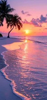 Tropical beach sunset with vibrant pink sky and palm trees.