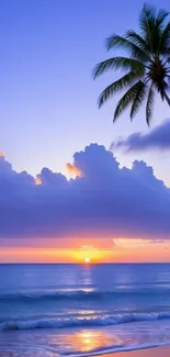 Tropical beach sunset with palm tree and vibrant ocean waves.