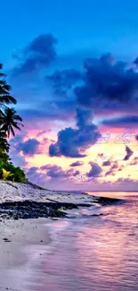 Tropical beach at sunset with colorful sky and palm trees.