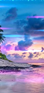 Tropical sunset beach with palm trees and pink-hued sky.