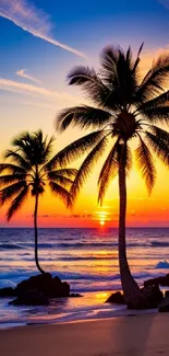 Vibrant tropical sunset beach with palm trees and colorful sky.