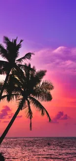 Tropical sunset with palm trees silhouetted against a vibrant purple and orange sky.