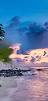 Stunning tropical beach sunset with waves and palm trees.