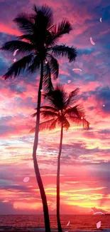 Vibrant tropical sunset with palm silhouettes on a beach.