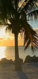 Tropical beach at sunset with palm tree silhouette and golden ocean view.