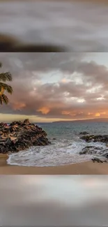 Tropical beach at sunset with palm trees and ocean waves.