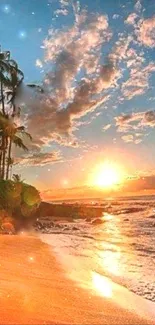 Tropical beach sunset with palm trees and vibrant sky.