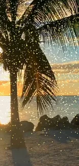 Tropical beach sunset with palm tree silhouette and golden sparkles.