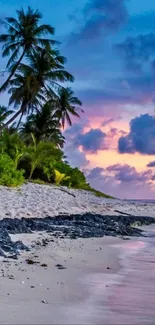 Tropical beach with palm trees and sunset over the ocean.