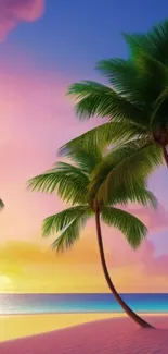 Tropical sunset beach wallpaper with palm trees and vibrant sky.