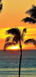 Tropical sunset with palm silhouettes over the ocean, creating a tranquil beach scene.