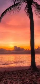 Stunning tropical sunset beach with palm trees and vibrant colors.