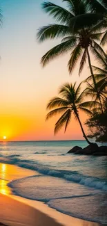 Tropical beach with sunset and palm trees.