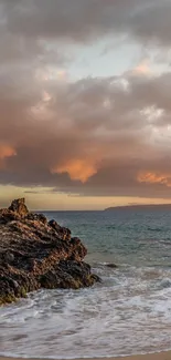 Tropical beach at sunset with palm trees and rocky shore.