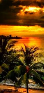 Tropical beach at sunset with palm trees and orange sky.