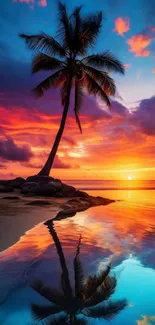 Tropical sunset with palm tree reflection on beach.