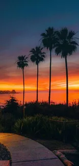 Serene tropical sunset with palms and vibrant sky.