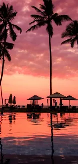 Tropical sunset with palm silhouettes reflecting in water.