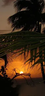 Tropical sunset with palm trees silhouetted against an orange sky.