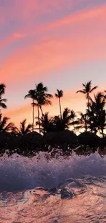 Tropical sunset with palm trees silhouetted against a pink sky.