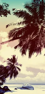 Tropical beach with palm trees and a colorful sunset sky.