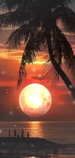 Palm tree and full moon at tropical sunset beach.