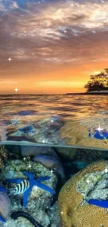 Tropical sunset over a vibrant coral reef with blue starfish.