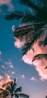 Silhouetted palm trees with a vibrant tropical sunset sky in the background.