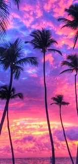 Silhouetted palm trees at sunset over a vibrant purple and pink sky.