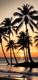 Mobile wallpaper of palm trees at sunset on a tropical beach.