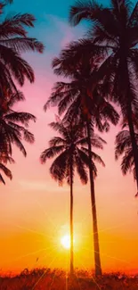 Sunset view with palm trees silhouetted against a vibrant sky.