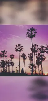 Silhouette of palm trees against a purple sunset sky creating a tropical scene.