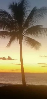 Silhouetted palm trees against a vibrant tropical sunset on a beach.