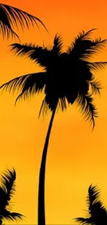 Silhouetted palm trees against a vivid orange sunset sky.