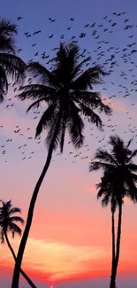 Silhouetted palm trees against a vibrant tropical sunset sky.