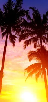 Silhouetted palm trees at sunset with vibrant sky.