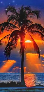 Silhouetted palm tree against a vibrant orange sunset over the ocean.