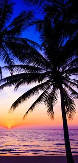 Tropical sunset with silhouetted palm trees on a serene beach.