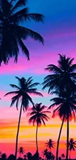 Tropical sunset with silhouetted palm trees and colorful sky.