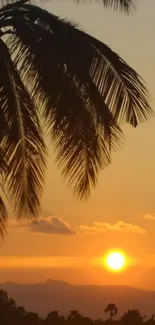 Tropical sunset with silhouetted palm trees against an orange horizon.