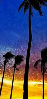 Tropical sunset with palm silhouettes against a vivid blue sky.