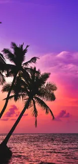 Tropical sunset with silhouetted palms against a colorful sky.