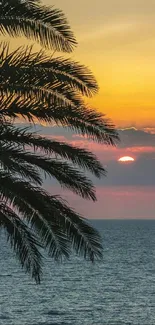 Tropical sunset with palm silhouette over ocean.